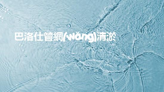 巴洛仕管網(wǎng)清淤設(shè)備，高效清潔，守護(hù)都市水環(huán)境